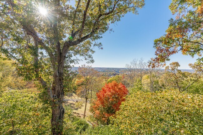 Building Photo - WHAT A VIEW!!! FULLY FURNISHED 5 BEDROOM & 4 BATH ON TOP OF MOUNT SEQUOYAH!!!