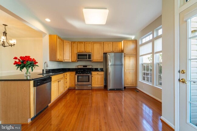 Building Photo - 2739 Manhattan Pl