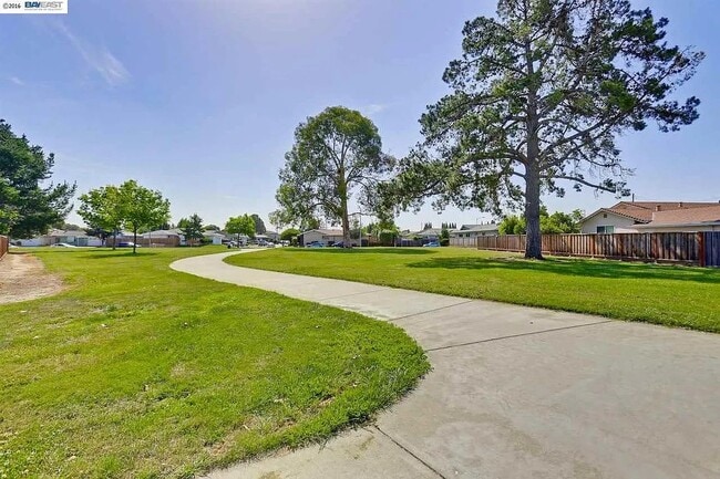 Building Photo - 4165 Sabio Ct