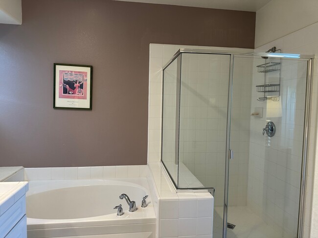 Primary Bath - 3066 Roia Ln