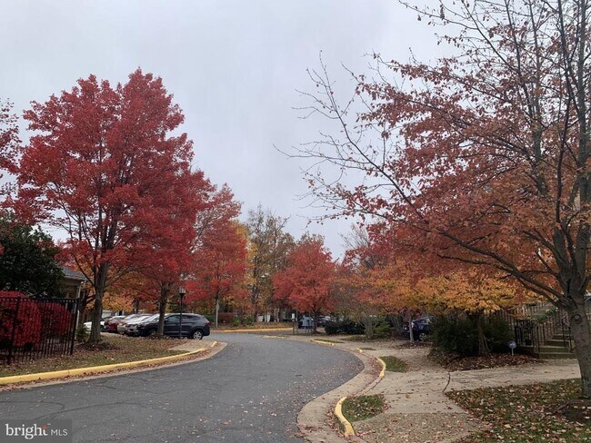 Building Photo - 1701 Lake Shore Crest Dr