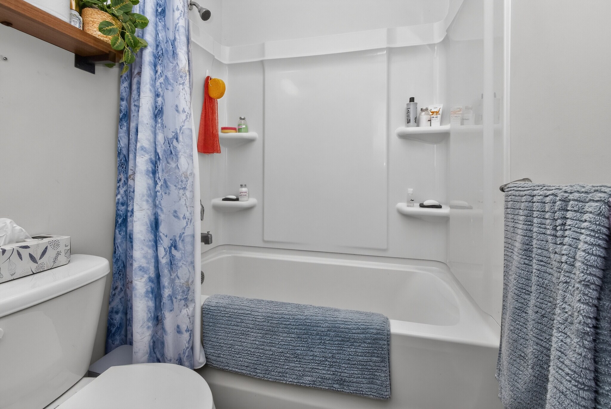 Building Photo - 29 Keowee Ln