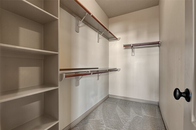 Building Photo - 6223 Duke Trail Ln