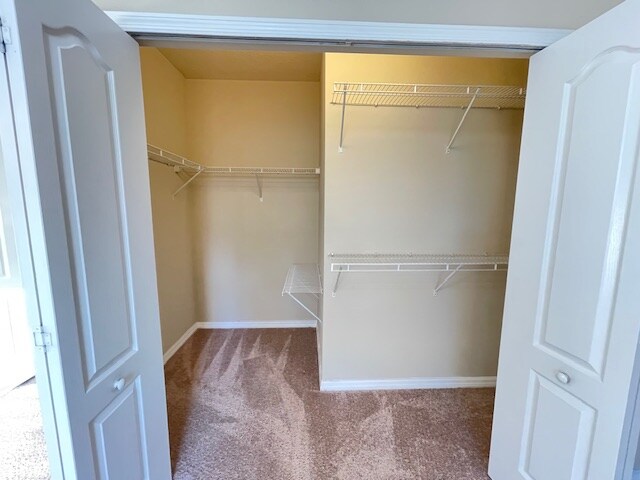 Building Photo - 2216 Betsy Ross Ln