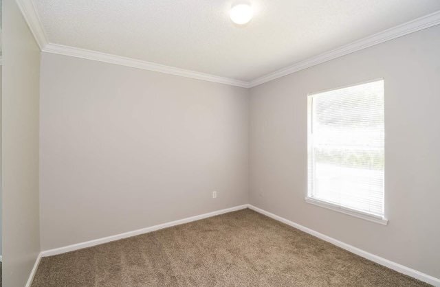 Building Photo - 9284 Thunderbolt Dr