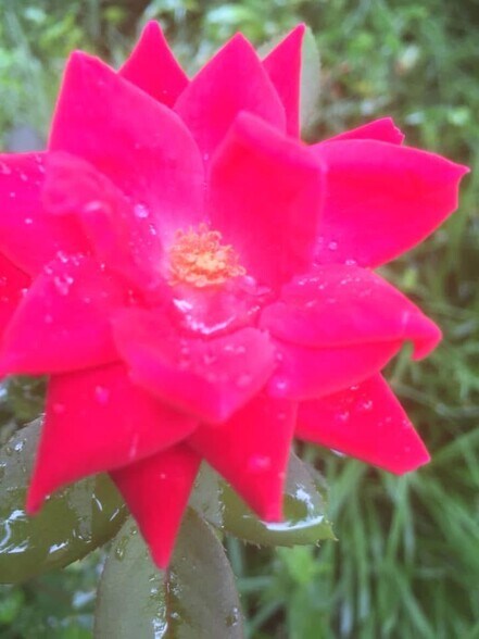 Building Photo - 49 Duke St