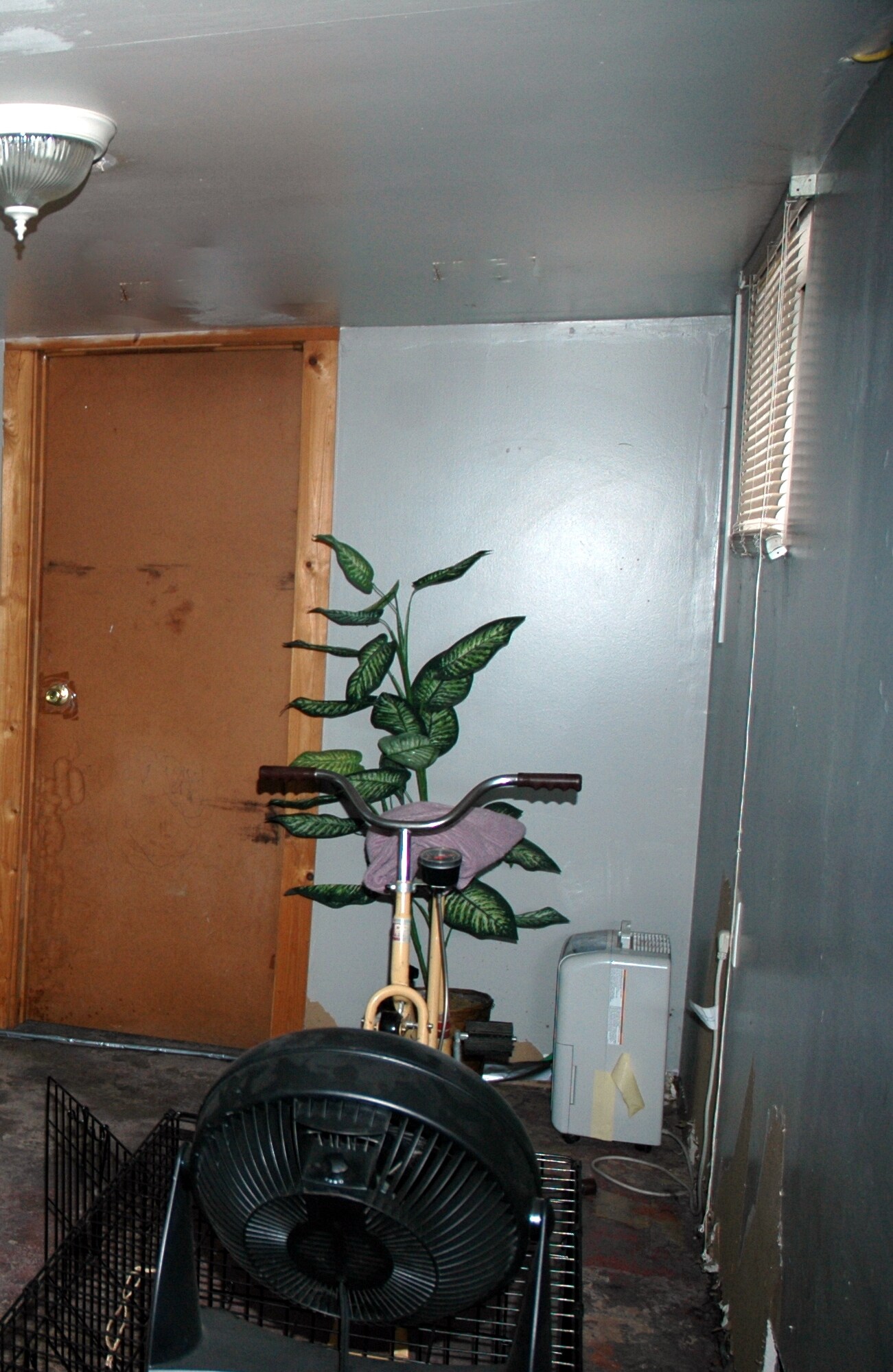Basement area - 5423 Rolston Ave