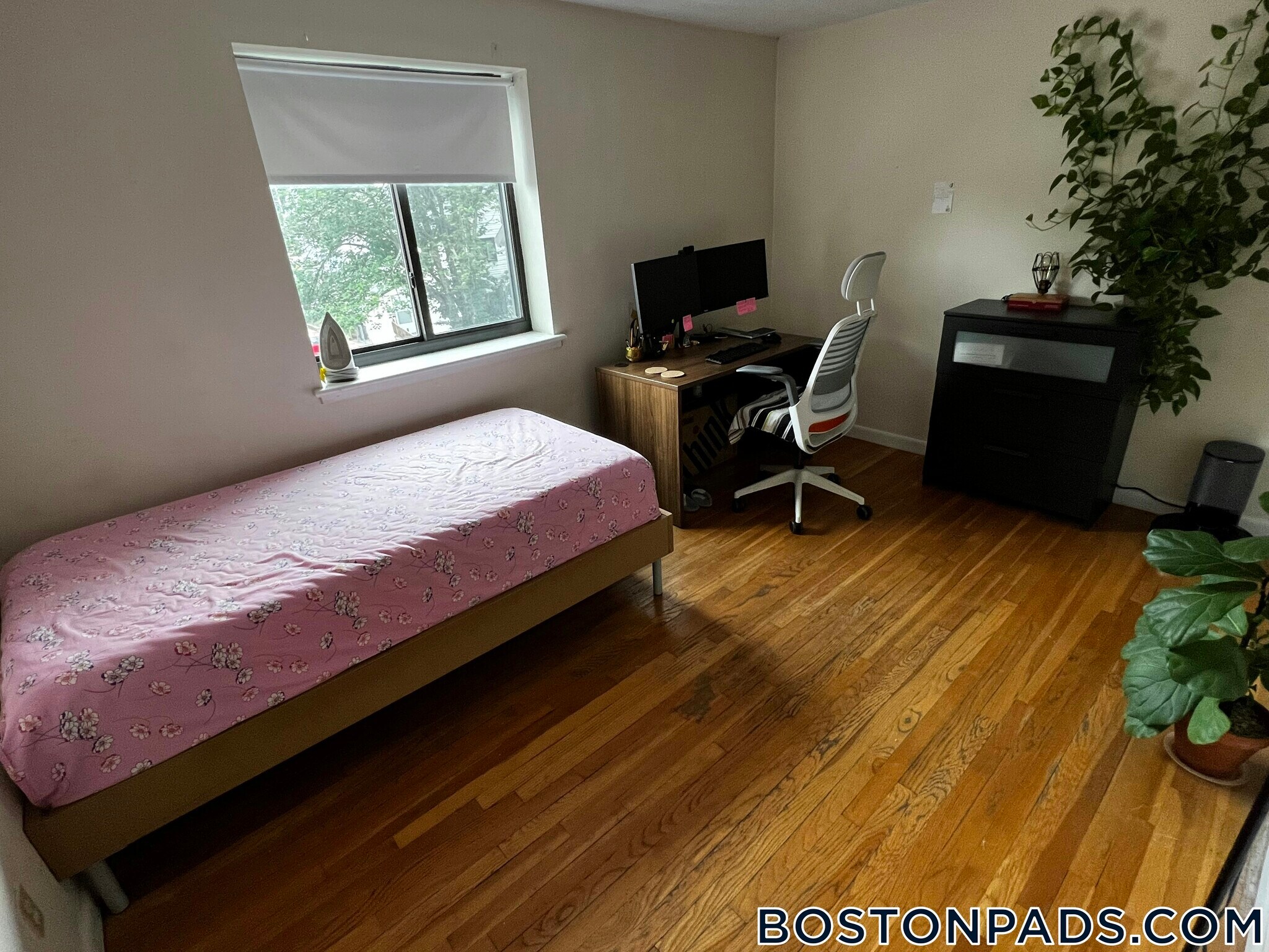 Building Photo - 66 Homer Ave