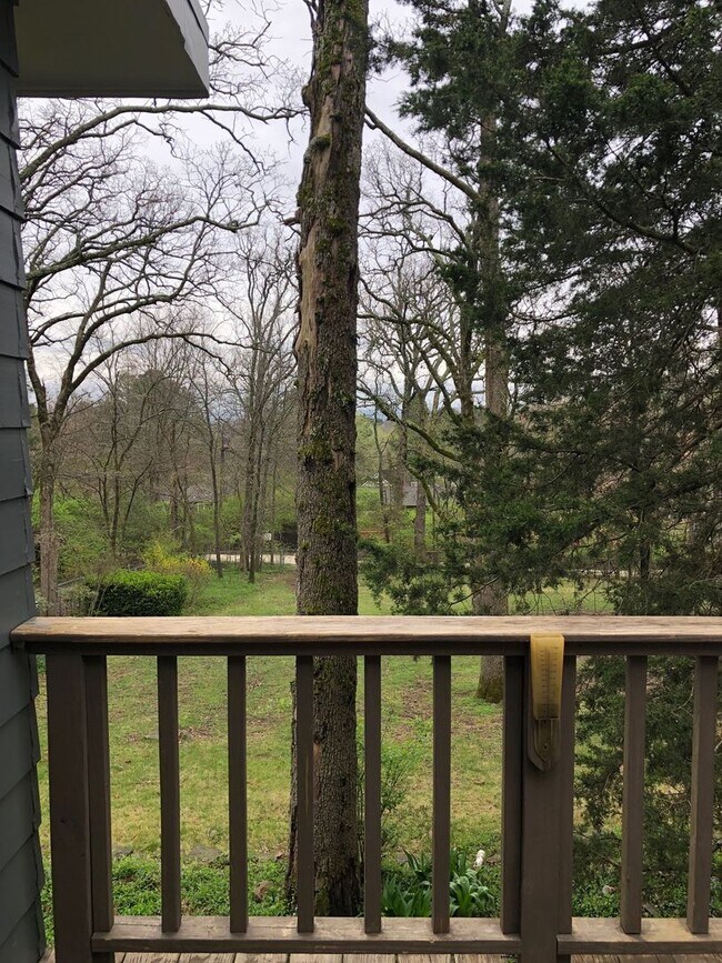 Building Photo - 3 bedroom, 2 Bath House Near University of...