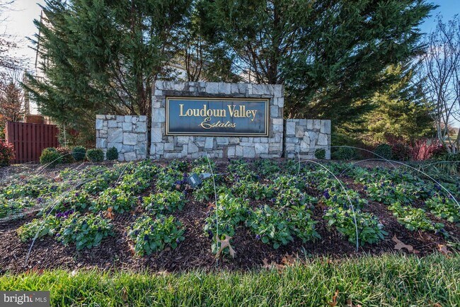 Primary Photo - 22645 Upperville Heights Square