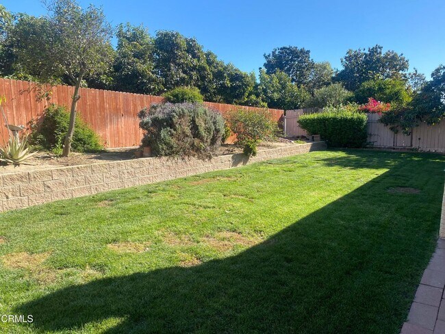 Building Photo - Camarillo Heights