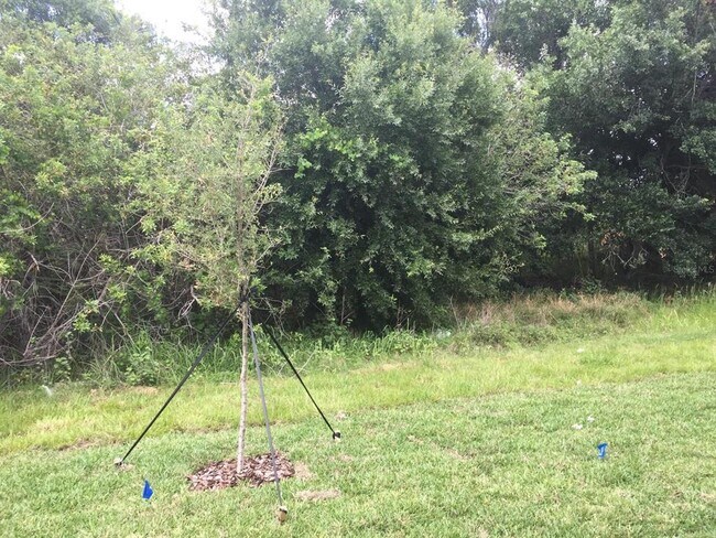 Building Photo - 9618 Pembrooke Pines Dr