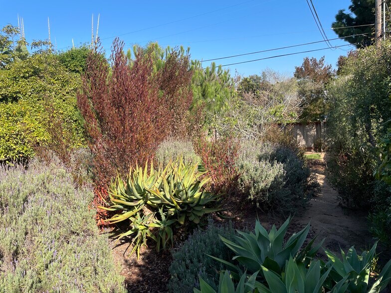 Building Photo - 855 Cornish Dr