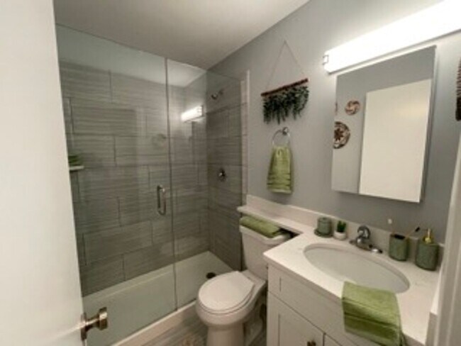 Building Photo - Brand new Luxury studio 2 blocks to the lake