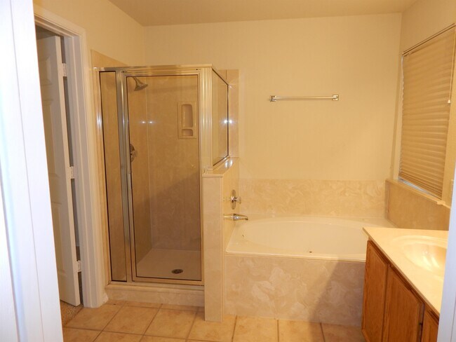 Building Photo - 2041 Rain Dance Loop