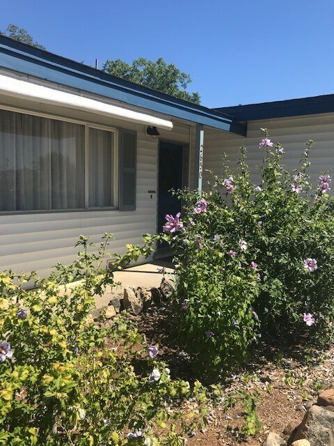 Building Photo - Newly Renovated Home! Charming Neighborhoo...