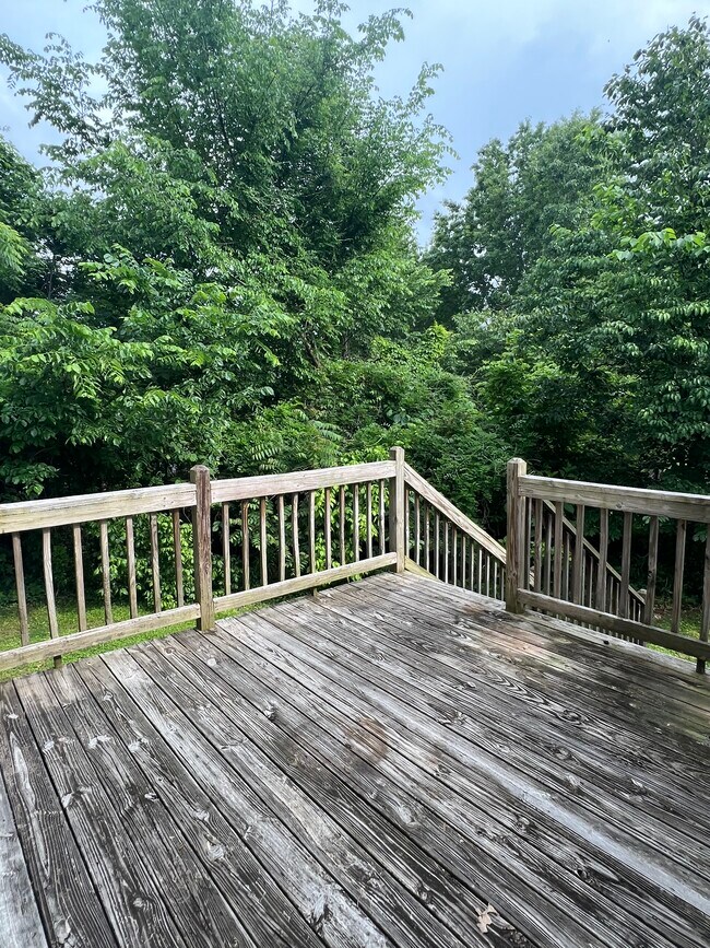 1378 Crescent Dr 1378 Crescent Dr Cookeville TN 38501 Apartment Finder