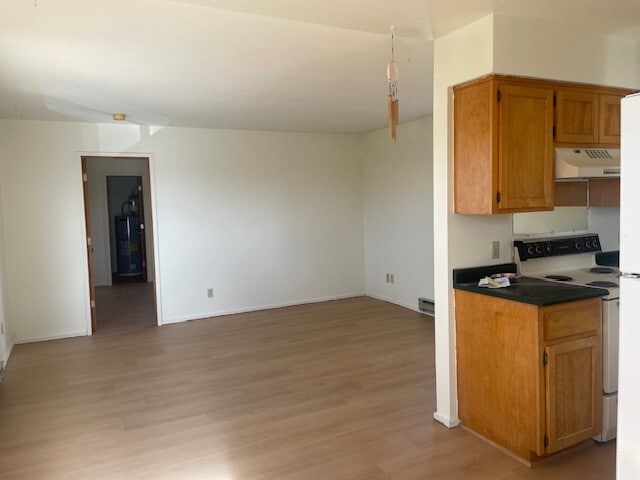 Living Ropom & Kitchen - 1347 Pacheco Ct