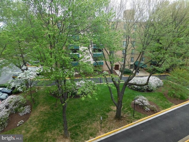 Building Photo - 6147 Leesburg Pike