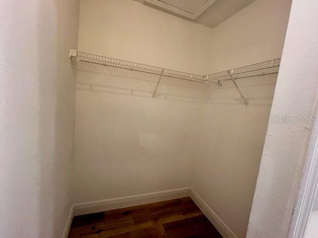 Building Photo - 2466 Parsons Pond Cir