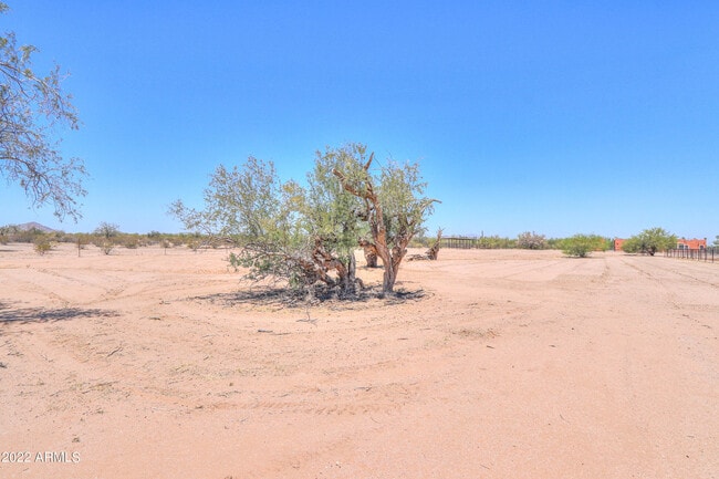 Building Photo - 49749 W Pampas Grass Rd