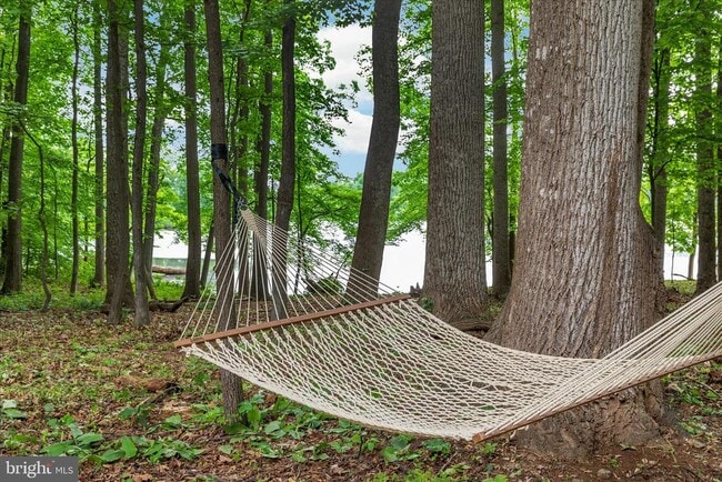 Building Photo - 4386 Lakewood Dr