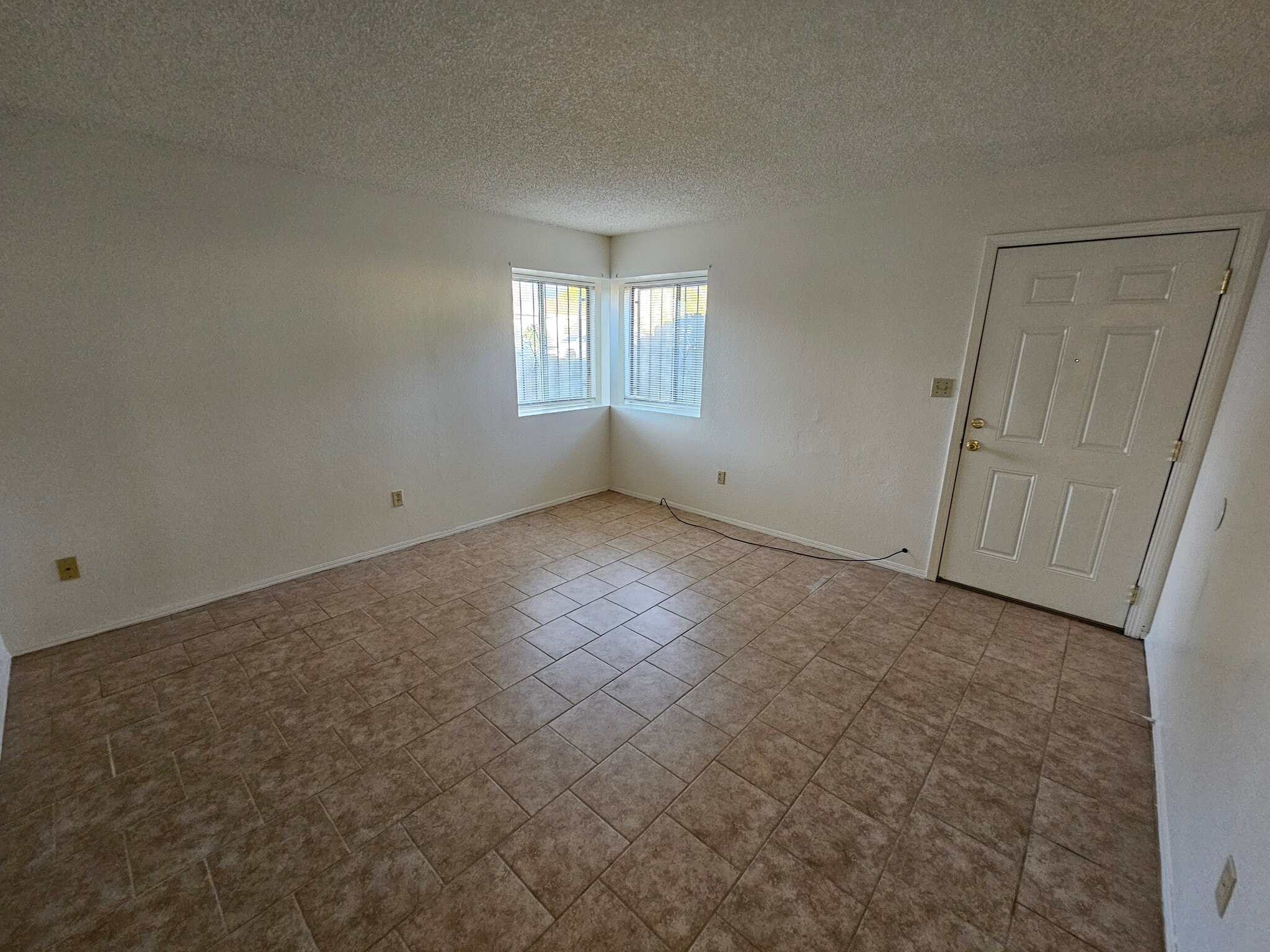 Living room - 221 Lincoln Ave