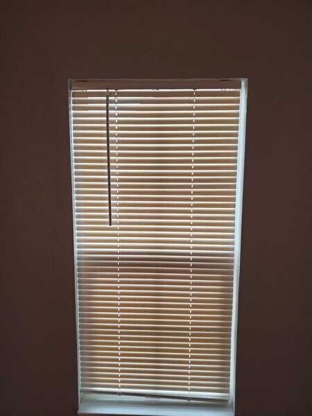 Building Photo - 304 Ruberto St