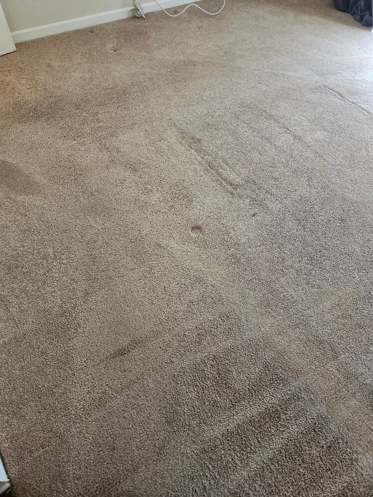 nice carpet in the bedrooms - 7532 Seaspring Dr