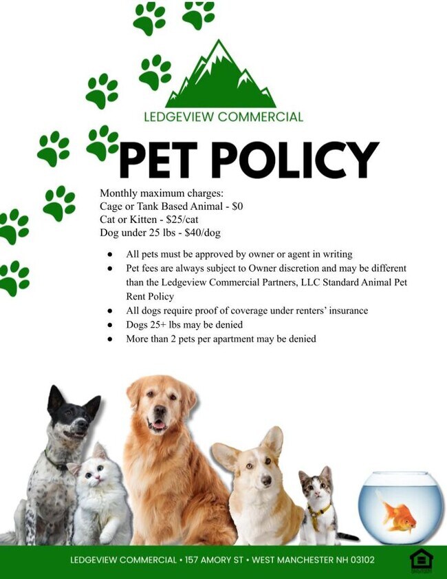 Building Photo - 257 Amory St