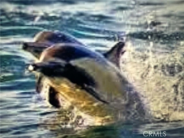 Building Photo - 33966 Malaga Dr