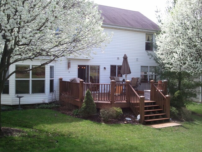 Back Yard - 16939 Hickory Forest Ln
