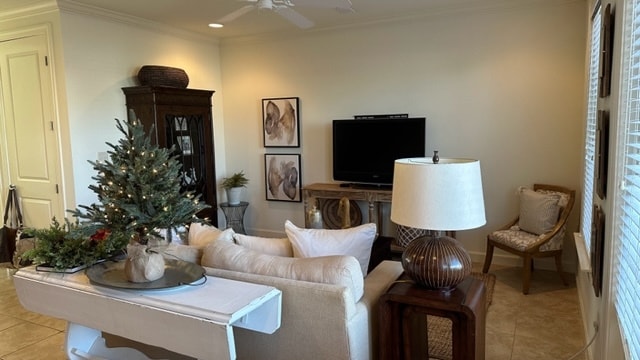 Living Room - 81 Christian Dr