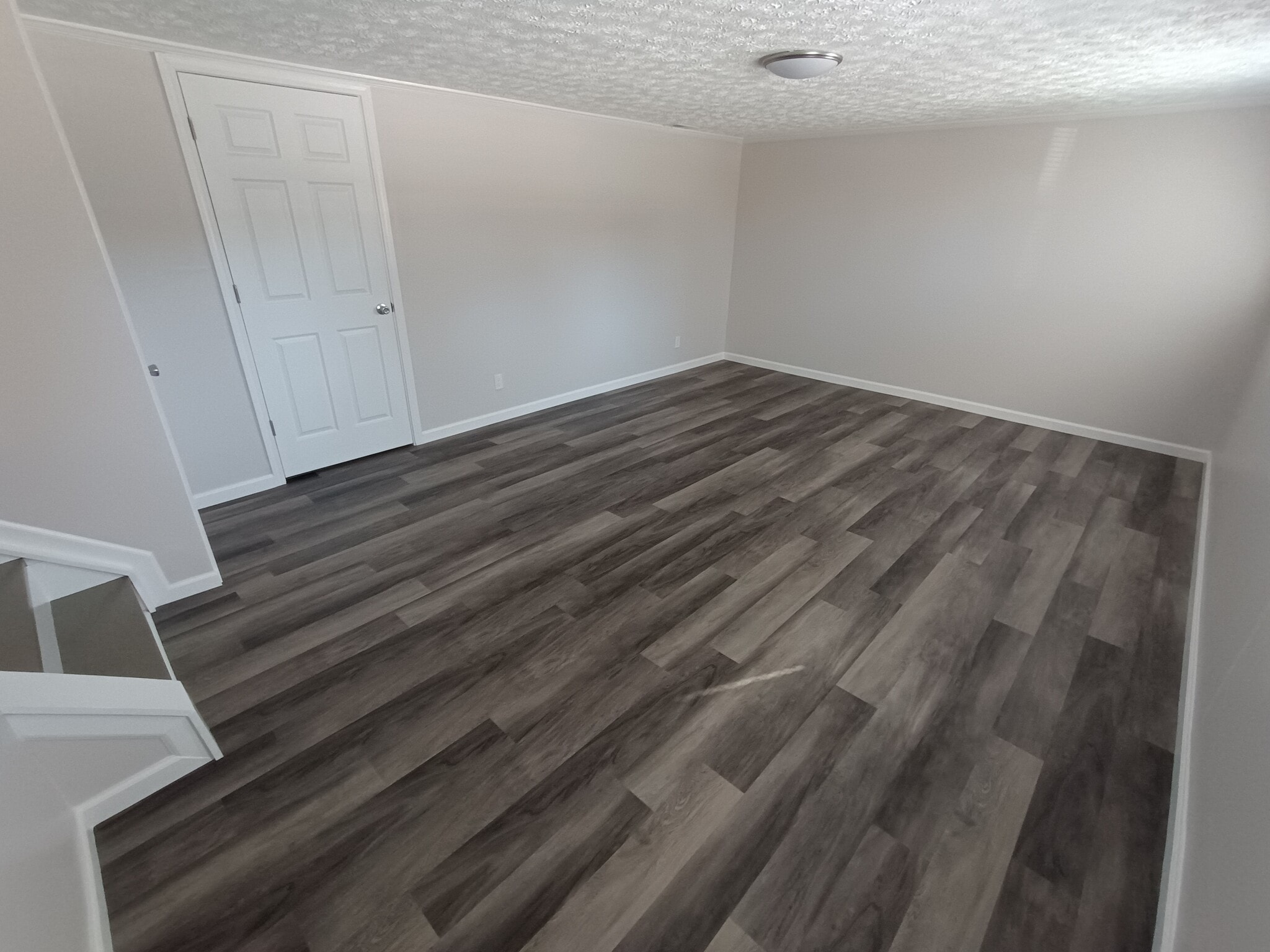 Lower Level - 904 Leslie Ct