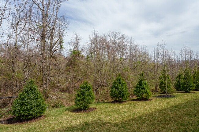 Building Photo - 1907 Swales Ct