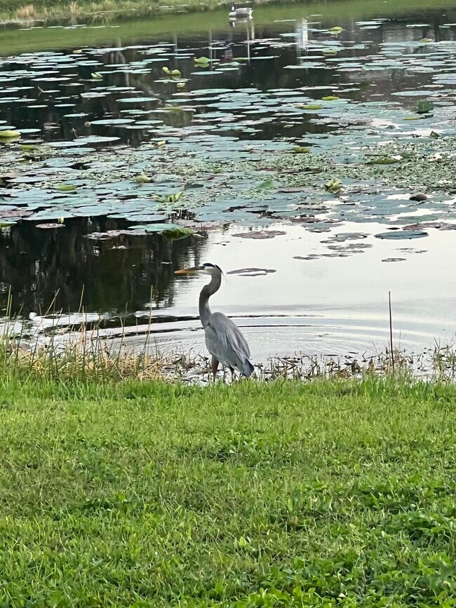 Building Photo - 1605 S Club Dr