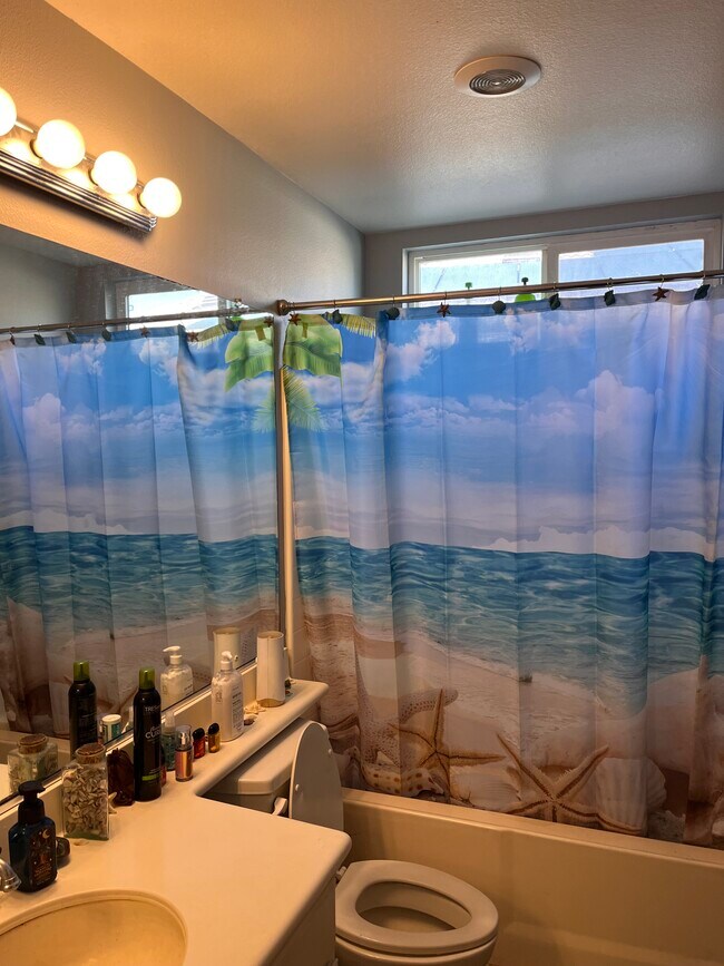 Bathroom (downstairs) - 1552 Shadow Hill Trl