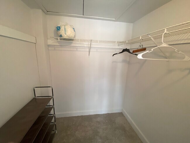 One of two walk in closets - 470 3rd St S