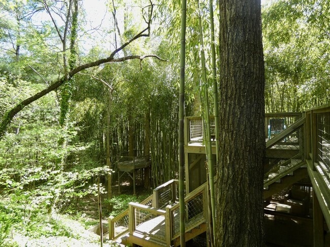Building Photo - Sovereign Oaks Cabin