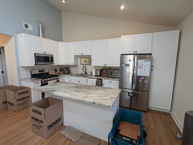Kitchen (Samsung Appliances & Custom Cabinets) - 225 W Pastorius St