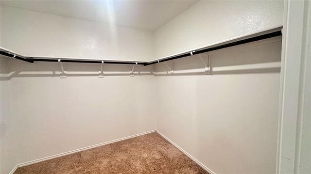 Building Photo - 2207 Nightgrove Cir