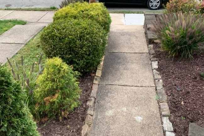 Building Photo - 719 Savannah Ave