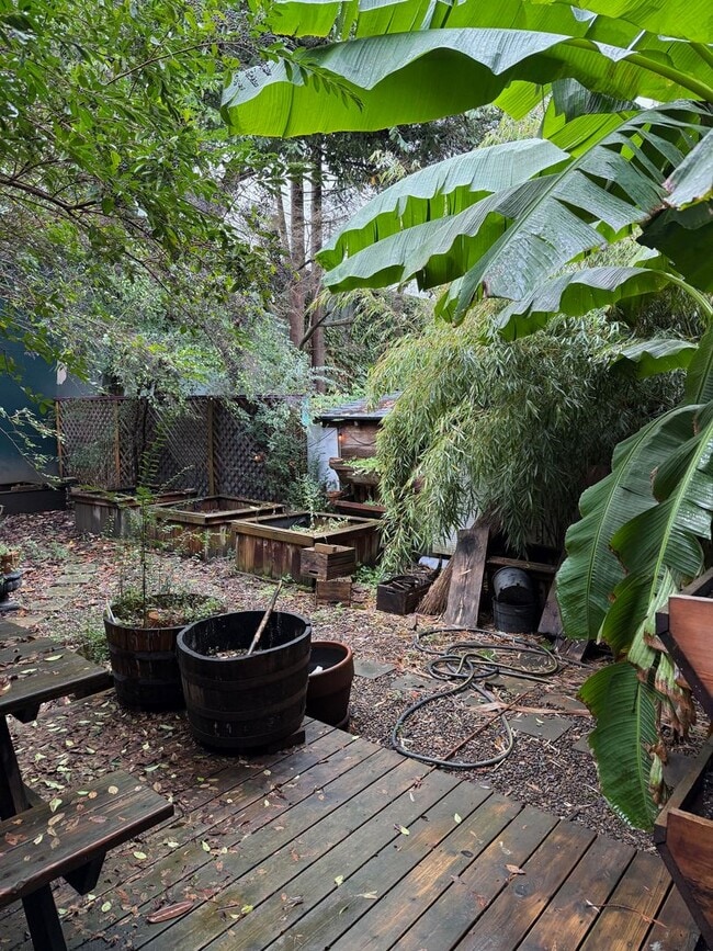 Building Photo - NW District Gem