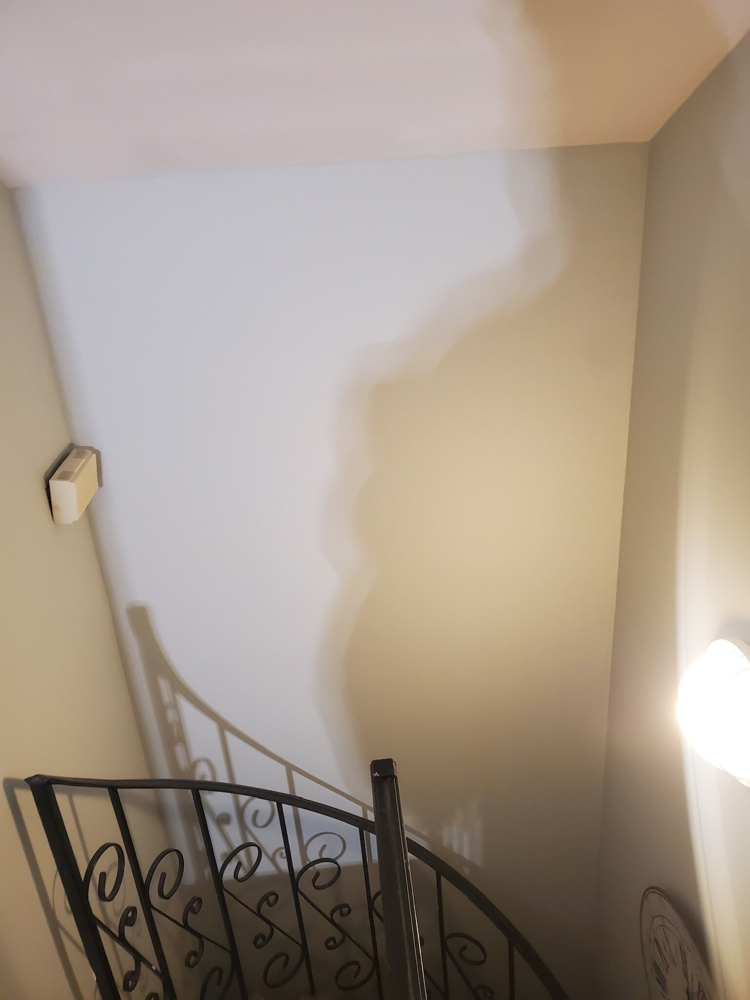 Building Photo - 636 Jersey Ave