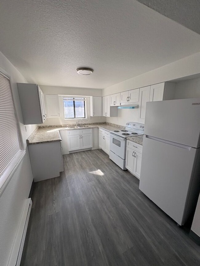 Building Photo - Newly Renovated 3 bedroom 1 Bathroom - OPE...