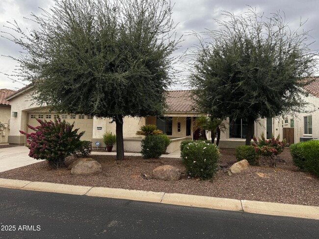Primary Photo - 2572 N 165th Dr