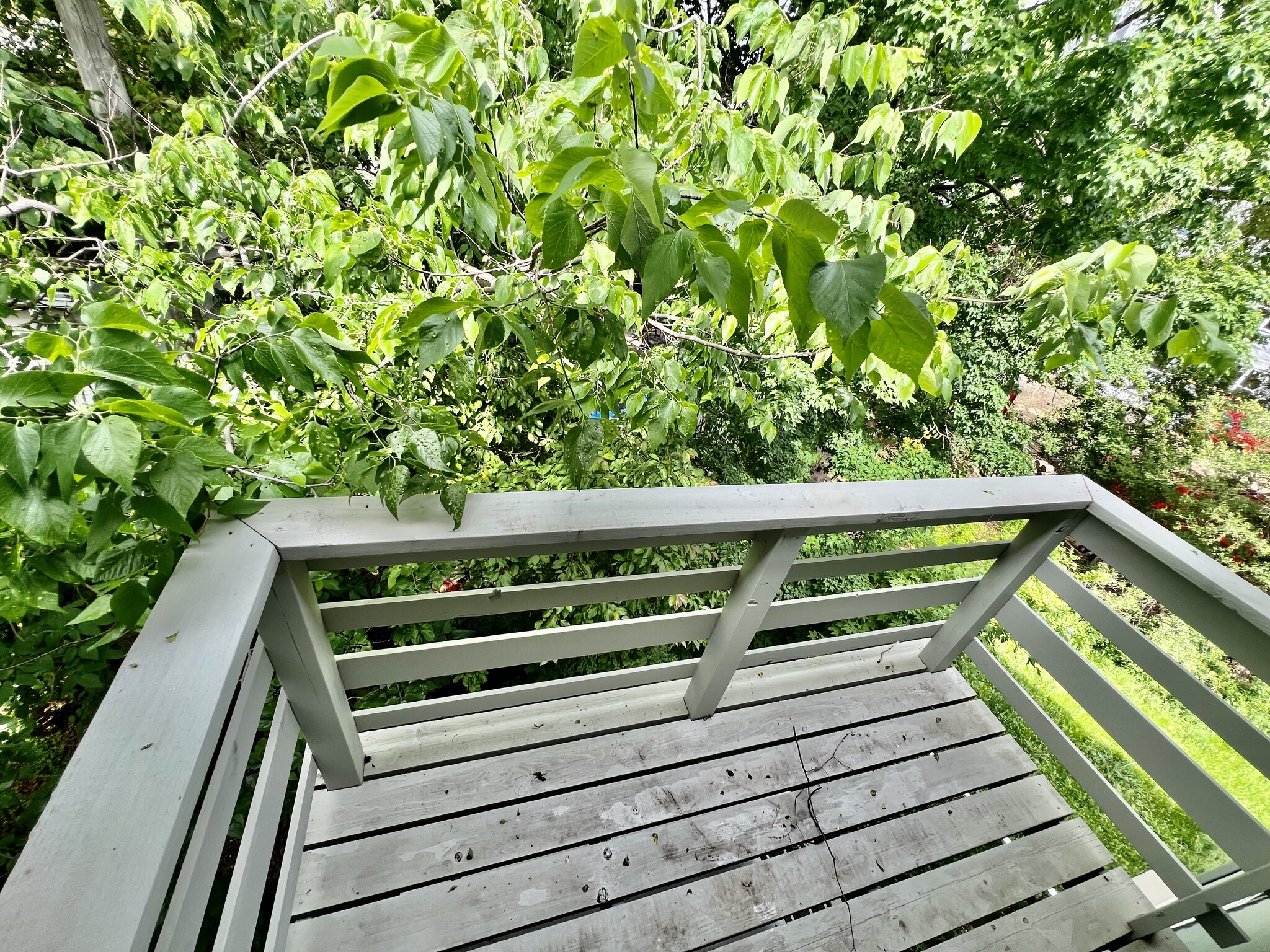 Private Balcony - 3176 Ridgeway Ave