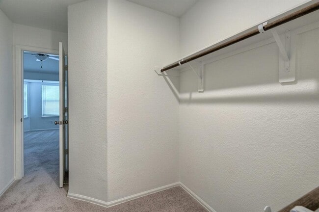 Building Photo - 14202 Padova Crk Ct