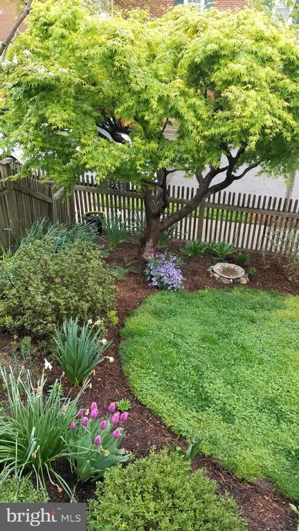 Building Photo - 1134 Portner Rd