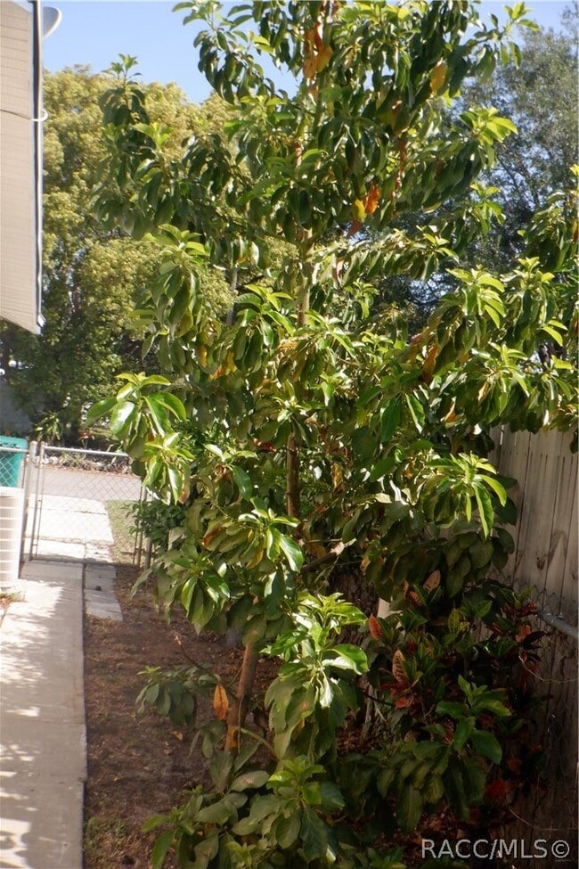 Building Photo - 7234 Cherry Laurel Dr